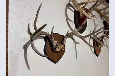 28890 County 25 S, Peterson, MN 55962 - Photo 43