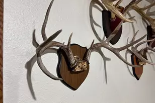 28890 County 25 S, Peterson, MN 55962 - Photo 43