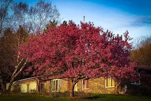 28890 County 25 S, Peterson, MN 55962 - Photo 37