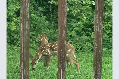 28890 County 25 S, Peterson, MN 55962 - Photo 45
