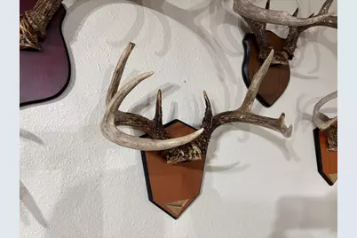 28890 County 25 S, Peterson, MN 55962 - Photo 53