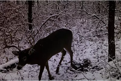 28890 County 25 S, Peterson, MN 55962 - Photo 95