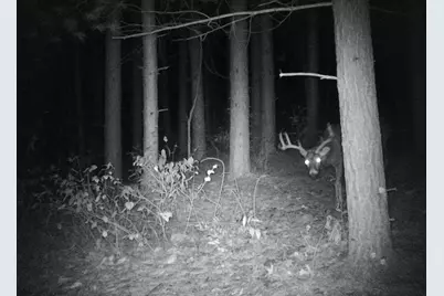 28890 County 25 S, Peterson, MN 55962 - Photo 87