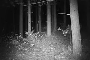 28890 County 25 S, Peterson, MN 55962 - Photo 87