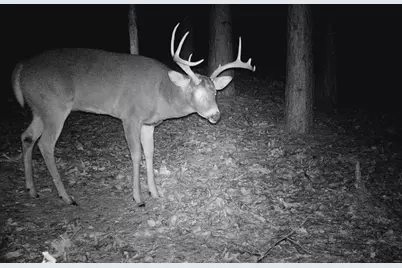 28890 County 25 S, Peterson, MN 55962 - Photo 81