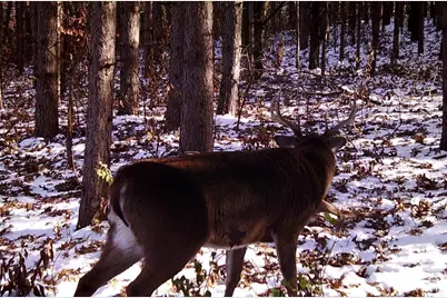 28890 County 25 S, Peterson, MN 55962 - Photo 99