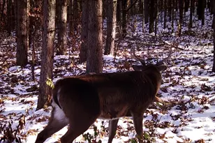 28890 County 25 S, Peterson, MN 55962 - Photo 99