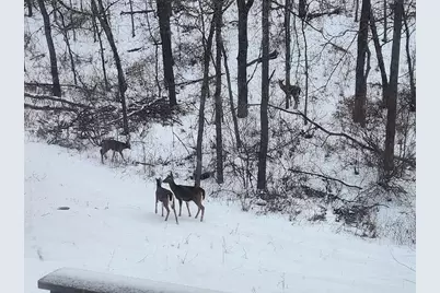 28890 County 25 S, Peterson, MN 55962 - Photo 39