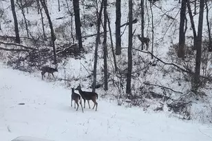 28890 County 25 S, Peterson, MN 55962 - Photo 39