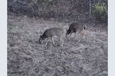 28890 County 25 S, Peterson, MN 55962 - Photo 61