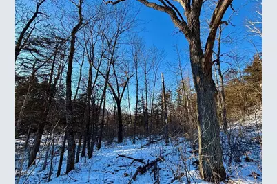 28890 County 25 S, Peterson, MN 55962 - Photo 71