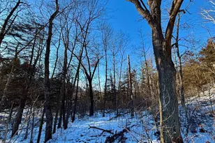 28890 County 25 S, Peterson, MN 55962 - Photo 71