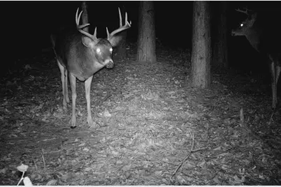 28890 County 25 S, Peterson, MN 55962 - Photo 55