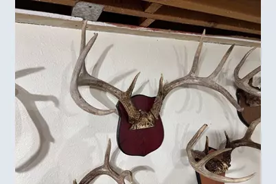 28890 County 25 S, Peterson, MN 55962 - Photo 49