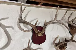 28890 County 25 S, Peterson, MN 55962 - Photo 49