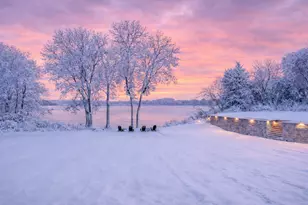 29430 Endress Way, Cannon Falls, MN 55009 - Photo 9