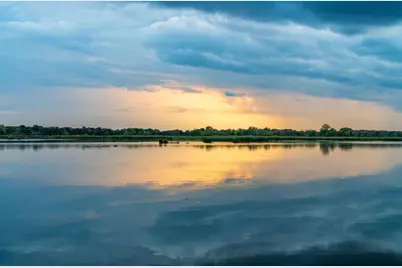 29430 Endress Way, Cannon Falls, MN 55009 - Photo 109