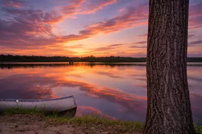 29430 Endress Way, Cannon Falls, MN 55009 - Photo 5