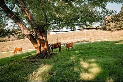 W8236 County Road Kk, Ellsworth, WI 54011 - Photo 7