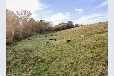 W8236 County Road Kk, Ellsworth, WI 54011 - Photo 35