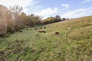 W8236 County Rd KK, Ellsworth, WI 54011 - Photo 35