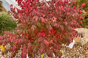 101 E Hawthorne St, Albert Lea, MN 56007 - Photo 43