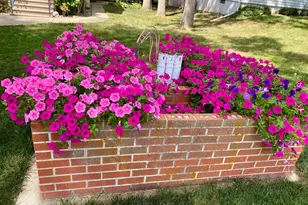 101 E Hawthorne St, Albert Lea, MN 56007 - Photo 39