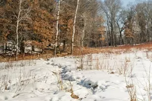 10984 Harvest Rd, Little Falls, MN 56345 - Photo 9