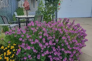 2222 Arthur Street NE, Minneapolis, MN 55418 - Photo 41