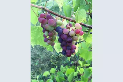 4318 E Valley Brook Road, Superior, WI 54880 - Photo 61