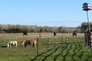 4318 E Valley Brook Rd, Superior, WI 54880 - Photo 53