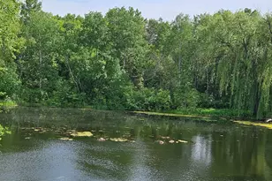 6131 Egg Lake Rd N, Hugo, MN 55038 - Photo 3