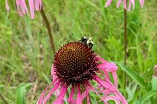 6848 Omar Ave Ct S, Denmark Twp, MN 55033 - Photo 73