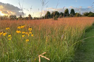 6848 Omar Ave Ct S, Denmark Twp, MN 55033 - Photo 97