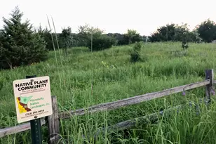 6848 Omar Ave Ct S, Denmark Twp, MN 55033 - Photo 95