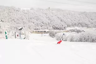 6848 Omar Ave Ct S, Denmark Twp, MN 55033 - Photo 79