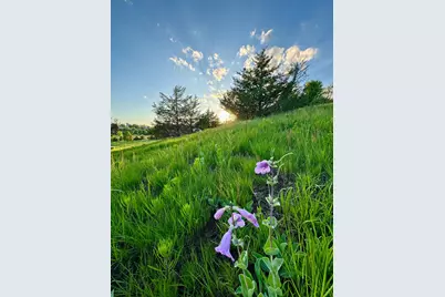 6848 Omar Avenue Court S, Denmark Twp, MN 55033 - Photo 89