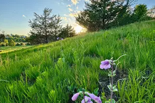 6848 Omar Ave Ct S, Denmark Twp, MN 55033 - Photo 89