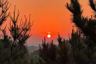 6848 Omar Ave Ct S, Denmark Twp, MN 55033 - Photo 91