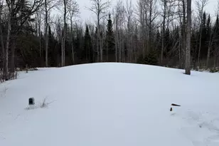 23545 Hwy 1 NE, Blackduck, MN 56650 - Photo 9