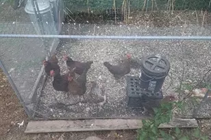 925 14th St, Cloquet, MN 55720 - Photo 45