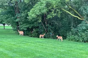 13129 Gemstone Ct, Apple Valley, MN 55124 - Photo 31