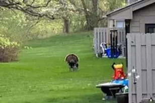 13129 Gemstone Ct, Apple Valley, MN 55124 - Photo 33