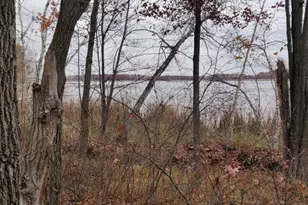 Tbd* Snowshoe Trail, Staples, MN 56479 - Photo 1