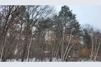 Tbd* Snowshoe Trail, Staples, MN 56479 - Photo 5