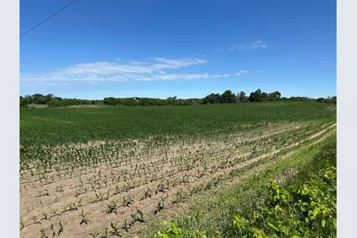 Xxx Highway 284, Cologne, MN 55322 - Photo 17
