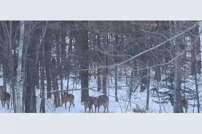 64503 Norway Spruce Road, Finlayson, MN 55735 - Photo 45