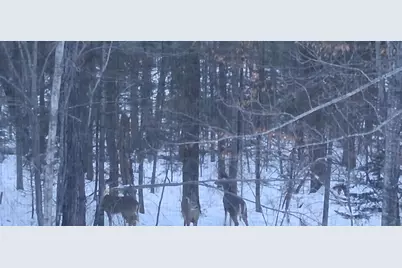 64503 Norway Spruce Road, Finlayson, MN 55735 - Photo 49