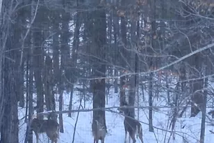 64503 Norway Spruce Rd, Finlayson, MN 55735 - Photo 49