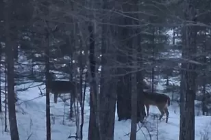 64503 Norway Spruce Rd, Finlayson, MN 55735 - Photo 47